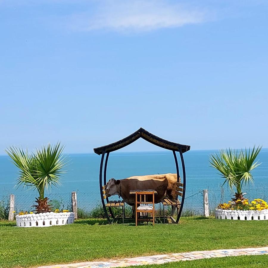 Perice Konak Sinop Exteriér fotografie