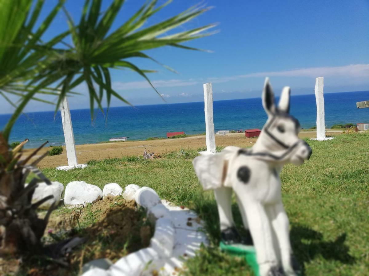 Perice Konak Sinop Exteriér fotografie